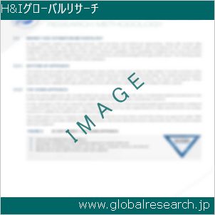 グローバルリサーチ調査レポートのイメージ